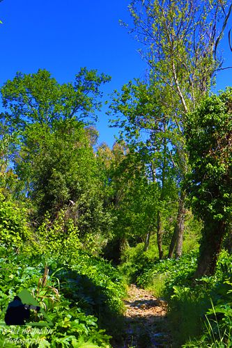 Πεντέλη topoguide