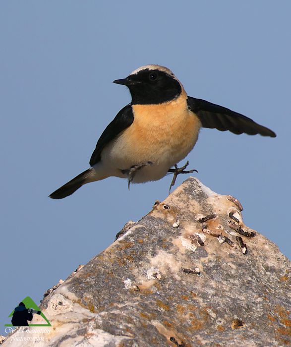 Πεντέλη topoguide