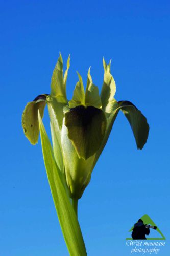 Πεντέλη topoguide