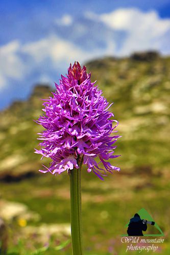 Πεντέλη topoguide