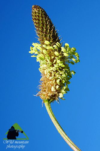 Πεντέλη topoguide