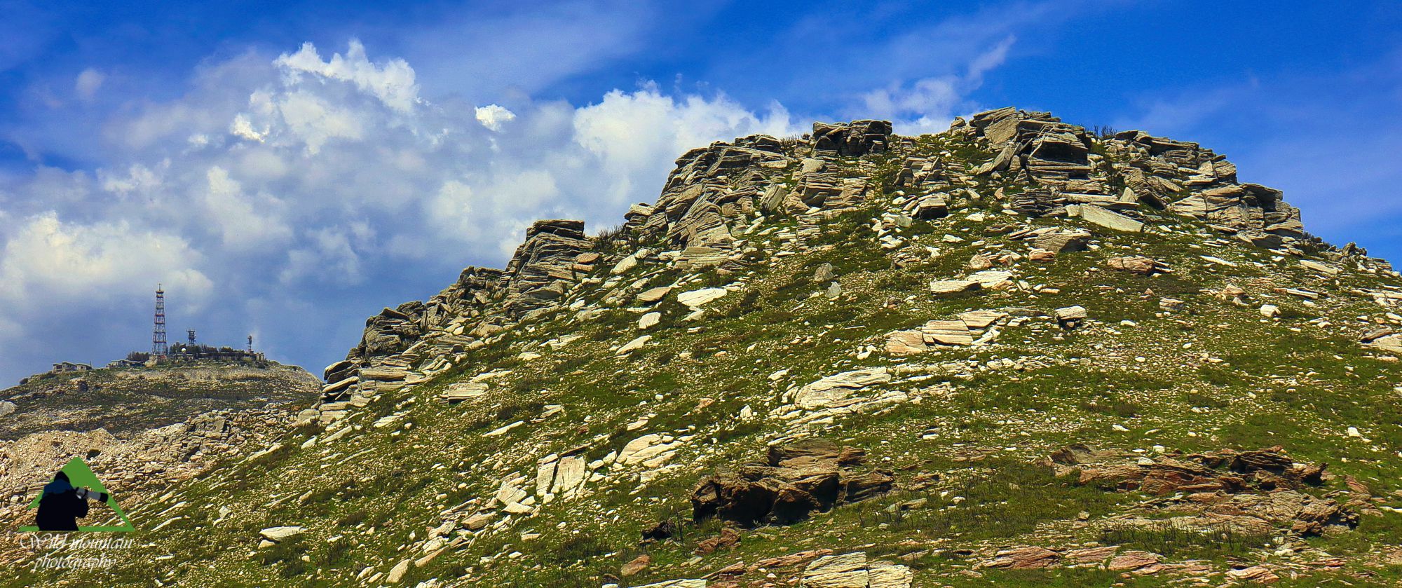 Πεντέλη, Τα φυτά της Πύρεζας: Το τοπίο των κορυφών της Πεντέλης