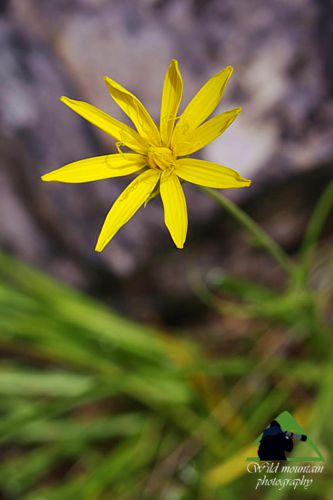 Πεντέλη topoguide