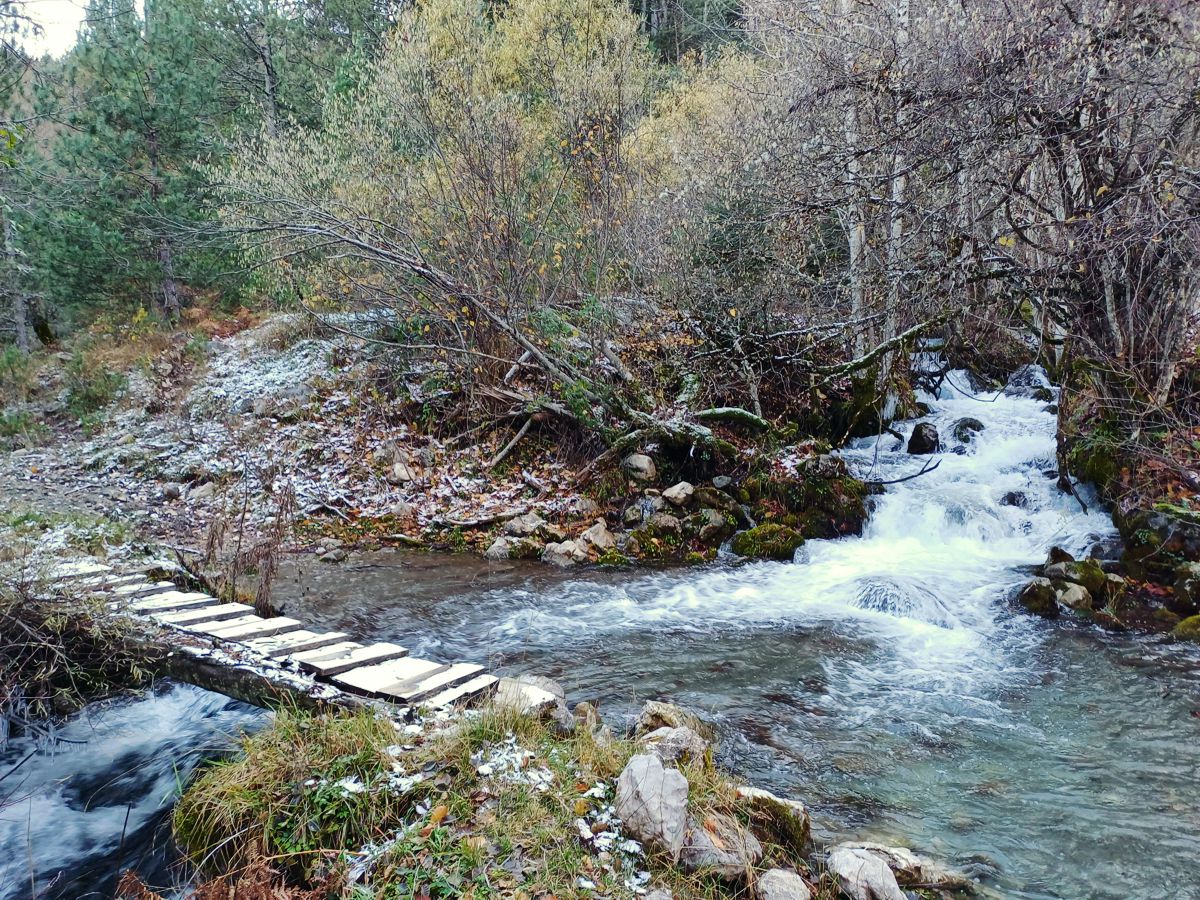 Πεζοπορία στο Γράμο: Πευκόφυτο-λίμνη Μουτσάλια