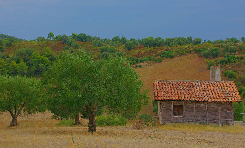 Διαδρομές στη χερσόνησο της Κασσάνδρας