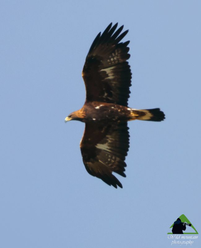 Ε.Π. Ροδόπης topoguide