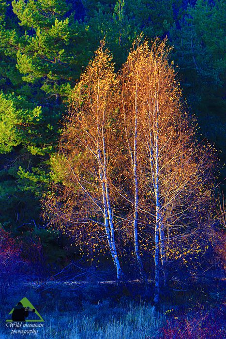 Ε.Π. Ροδόπης topoguide