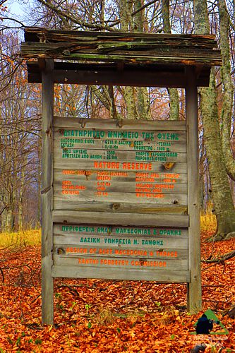 Ε.Π. Ροδόπης topoguide