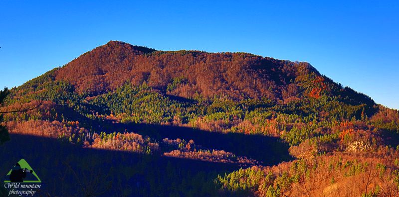 Ε.Π. Ροδόπης topoguide