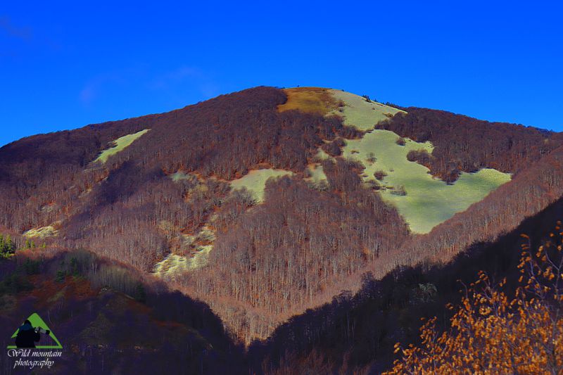 Ε.Π. Ροδόπης topoguide