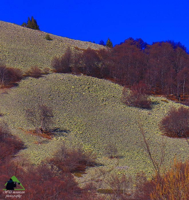 Ε.Π. Ροδόπης topoguide