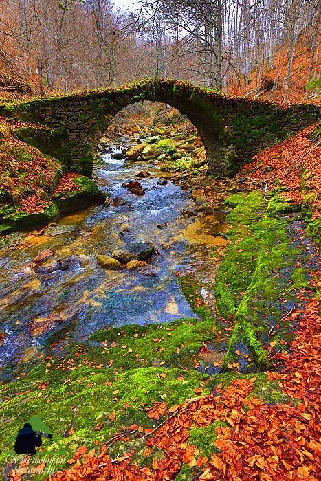 Ε.Π. Ροδόπης topoguide