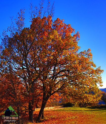 Ε.Π. Ροδόπης topoguide