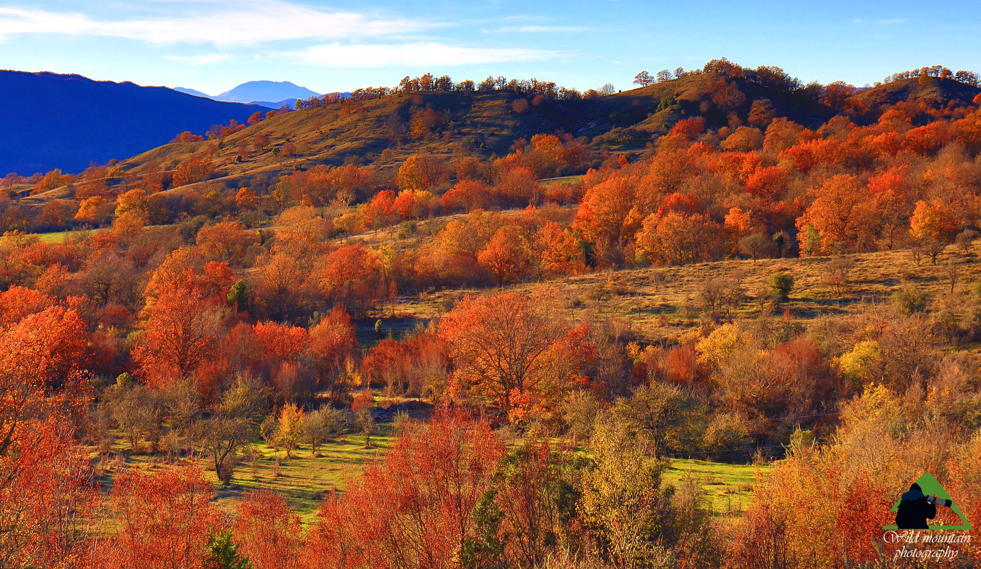 Η οροσειρά της Ροδόπης: Το αγροδασικό τοπίο της παρανέστιας ζώνης