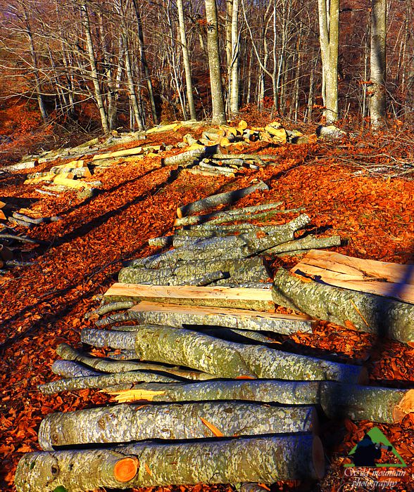 Ε.Π. Ροδόπης topoguide