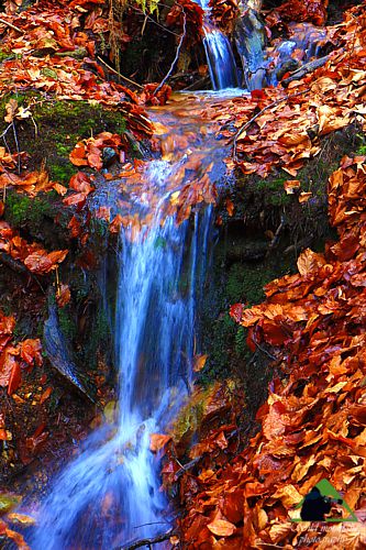 Ε.Π. Ροδόπης topoguide