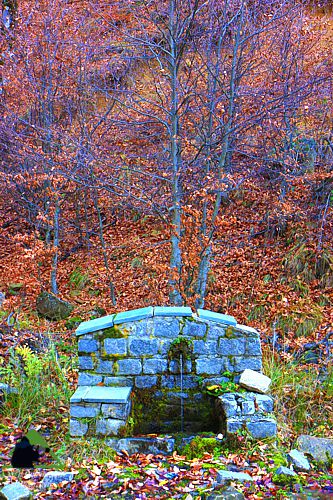 Ε.Π. Ροδόπης topoguide