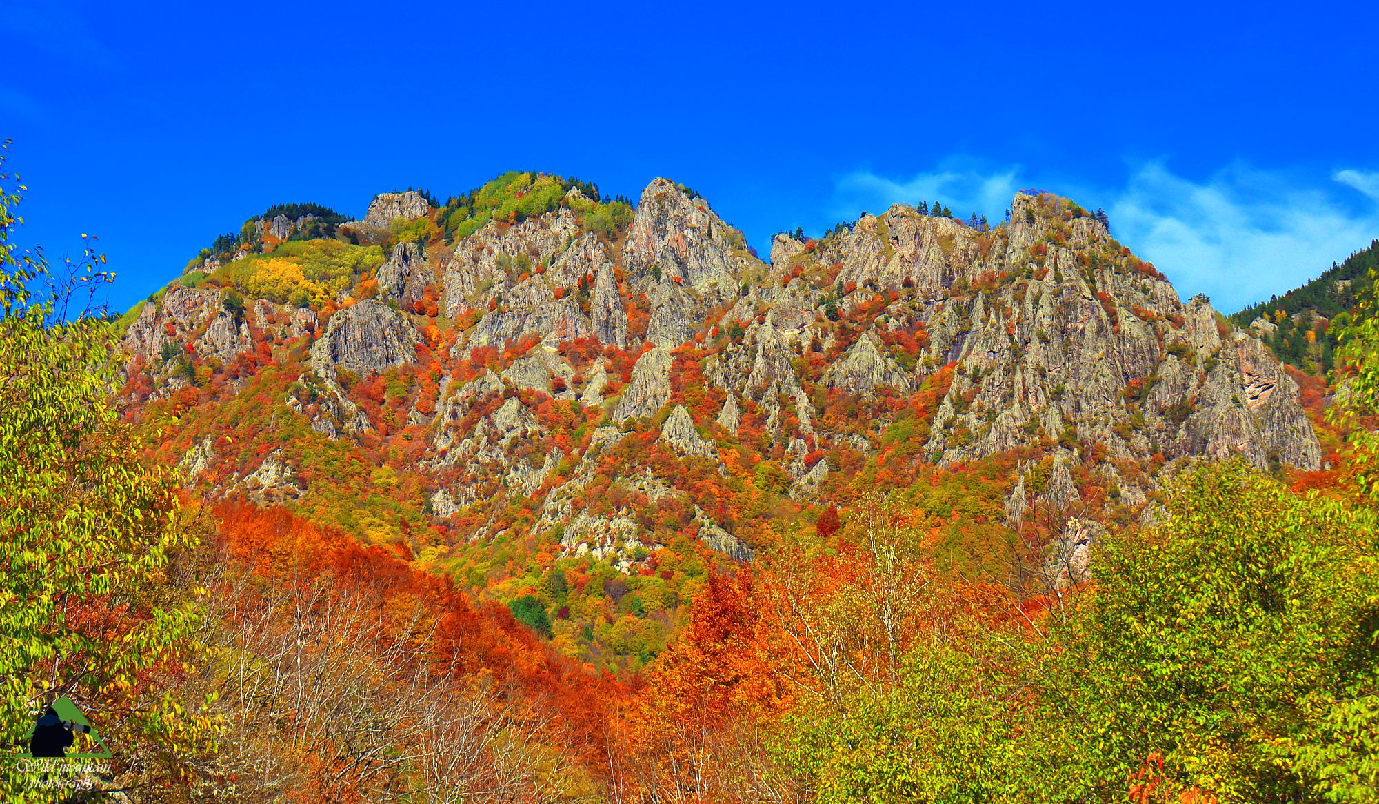Το οικοσύστημα της Ροδόπης: Το γρανιτικό περίγραμμα του Παρθένου Δάσους στο Φρακτό