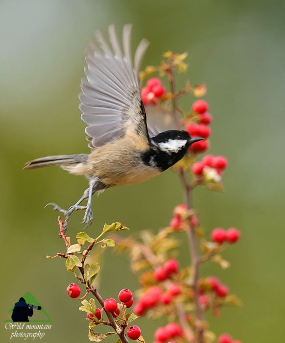 Ροδόπη topoguide