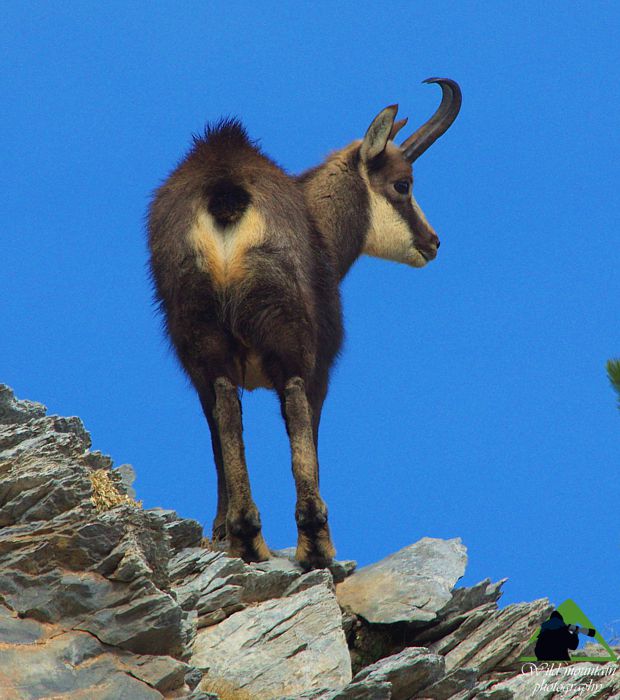 Ροδόπη topoguide