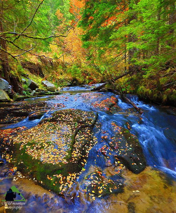 Ροδόπη topoguide