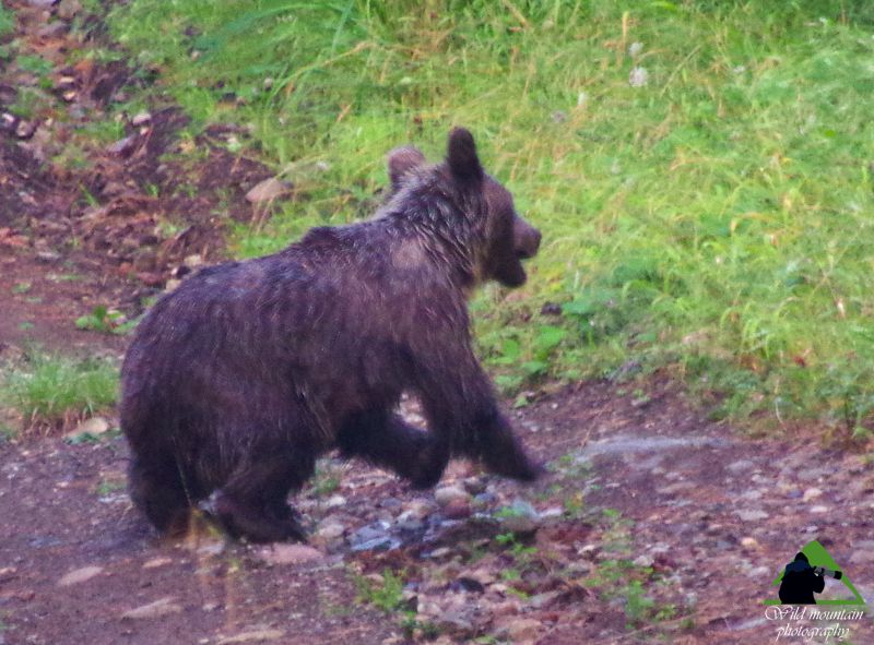 Ροδόπη topoguide