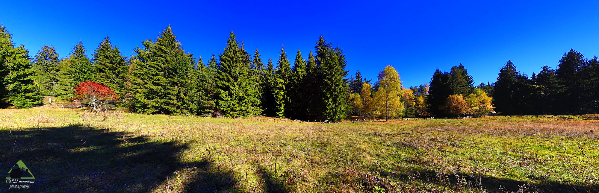 Το οικοσύστημα της Ροδόπης: Ο μεγάλος όξινος τυρφώνας στο Δασικό Χωριό Ελατιάς