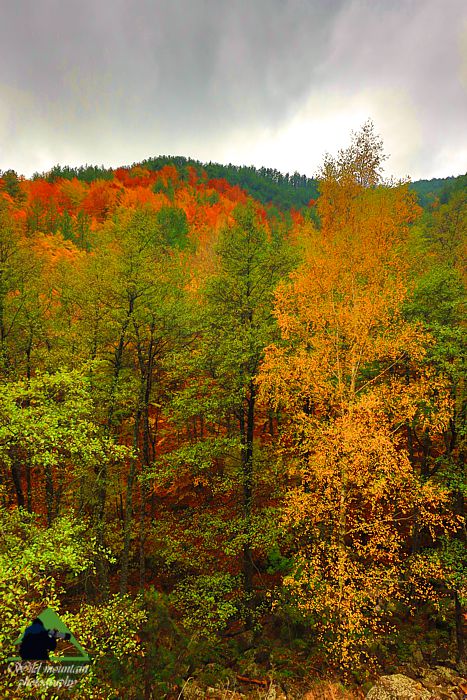 Ροδόπη topoguide