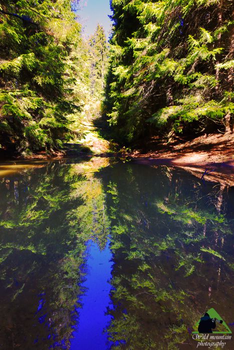 Ροδόπη topoguide