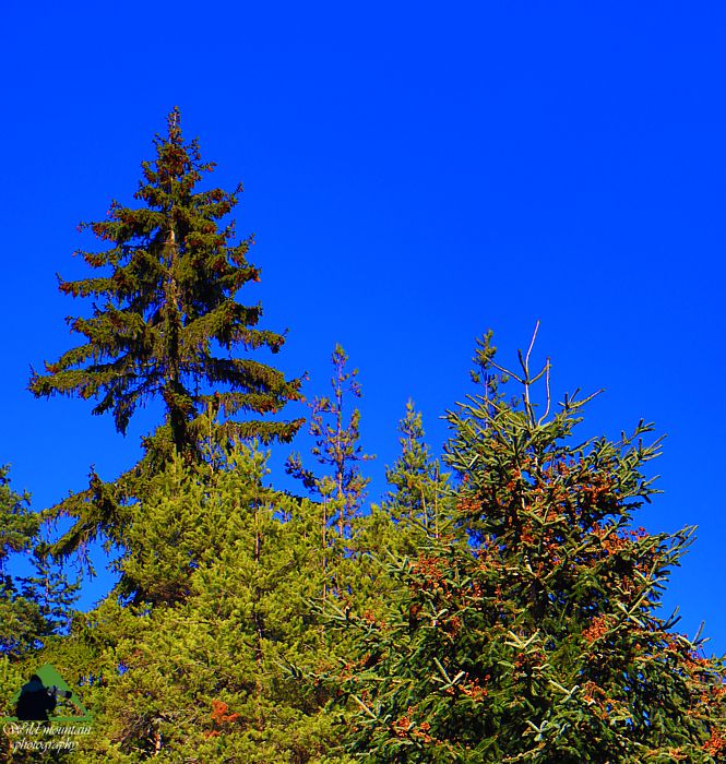 Ε.Π. Ροδόπης topoguide