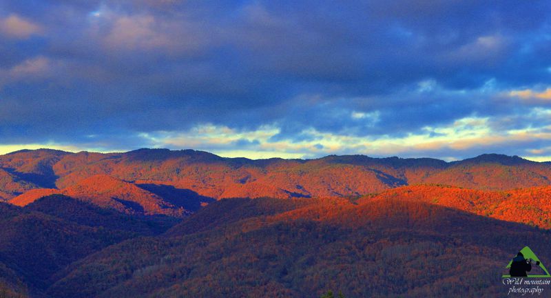 Ε.Π. Ροδόπης topoguide