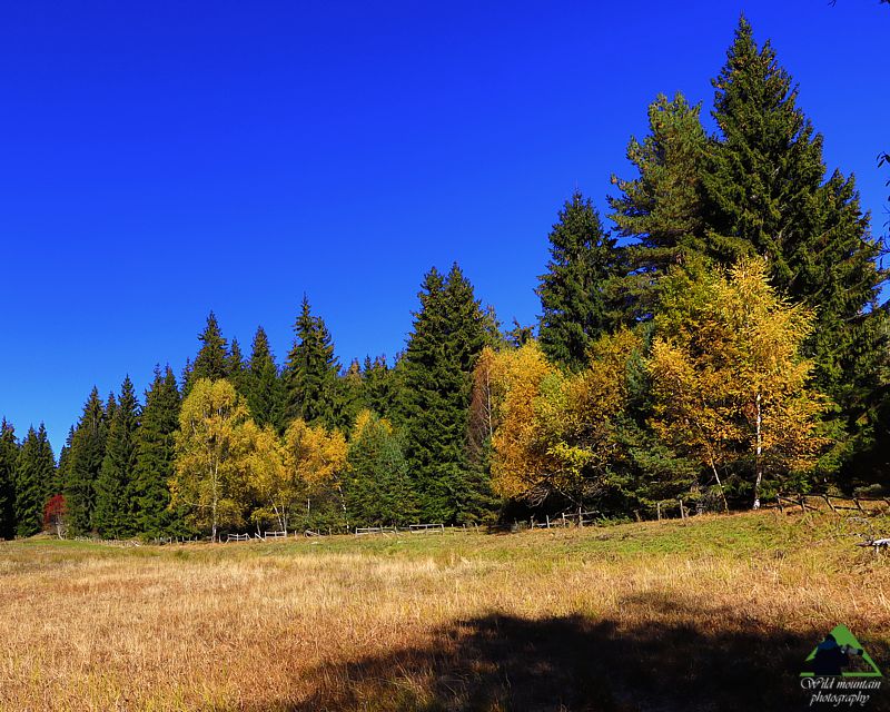 Ε.Π. Ροδόπης topoguide