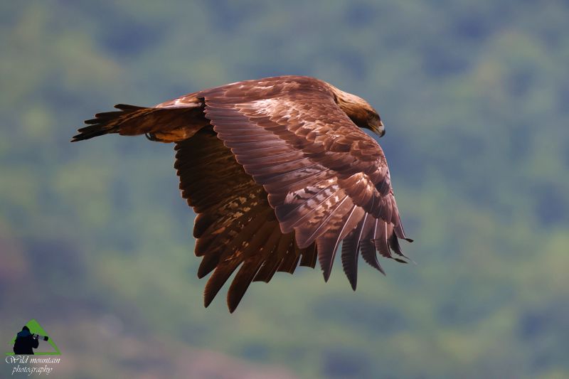 Ε.Π. Ροδόπης topoguide