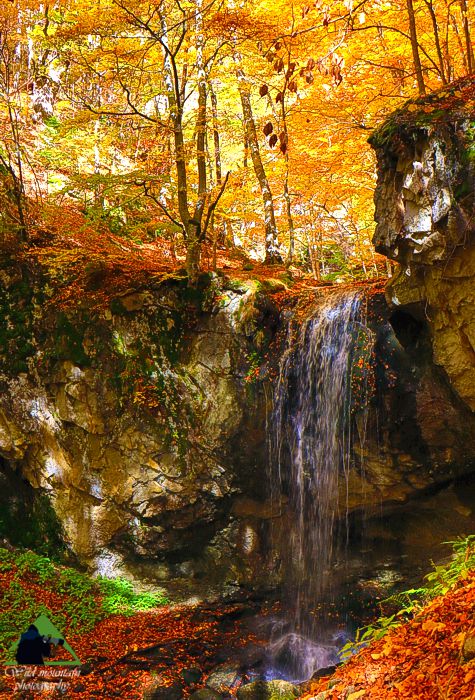 Ε.Π. Ροδόπης topoguide