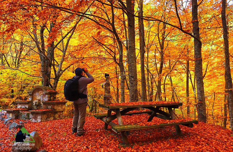 Ε.Π. Ροδόπης topoguide