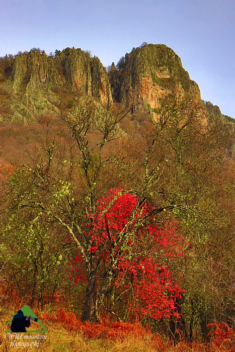 Ε.Π. Ροδόπης topoguide