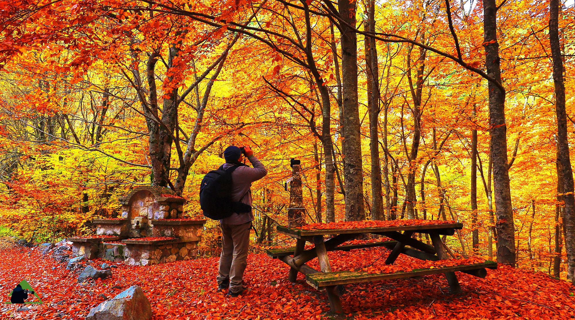 Τοπίο και βιότοποι της Ροδόπης: Φθινοπωρινά χρώματα στο Φρακτό