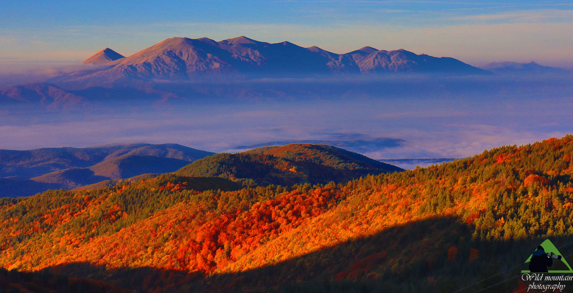 Η οροσειρά της Ροδόπης: Τα αλπικά τοπία του Φαλακρού συμπληρώνουν το δασικό οικοσύστημα της Ροδόπης