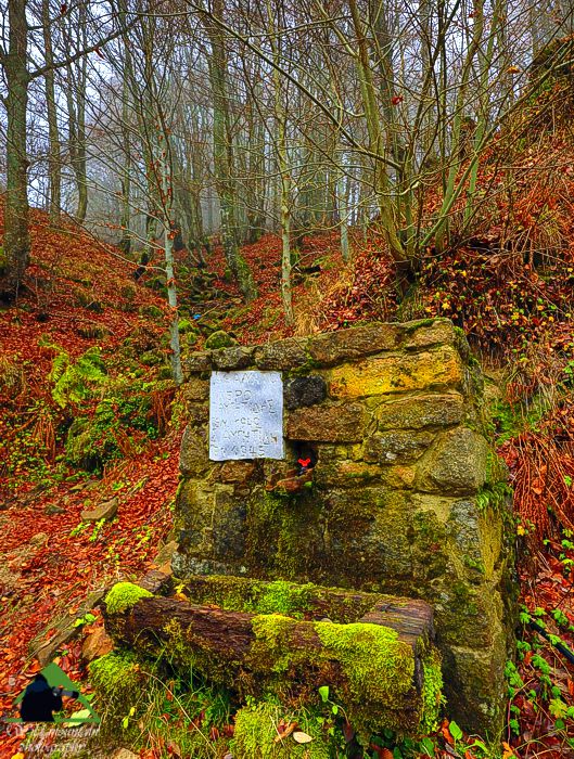 Ε.Π. Ροδόπης topoguide