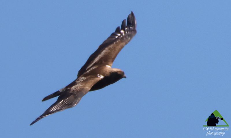 Ε.Π. Ροδόπης topoguide