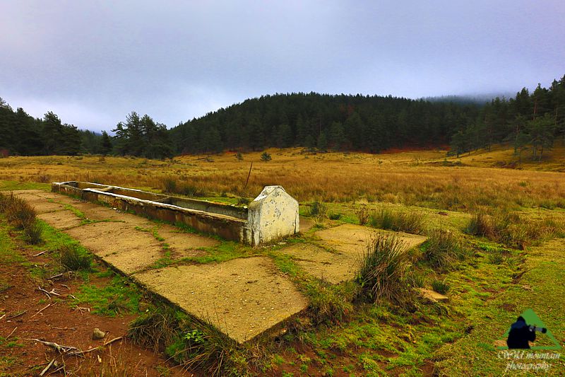 Ε.Π. Ροδόπης topoguide