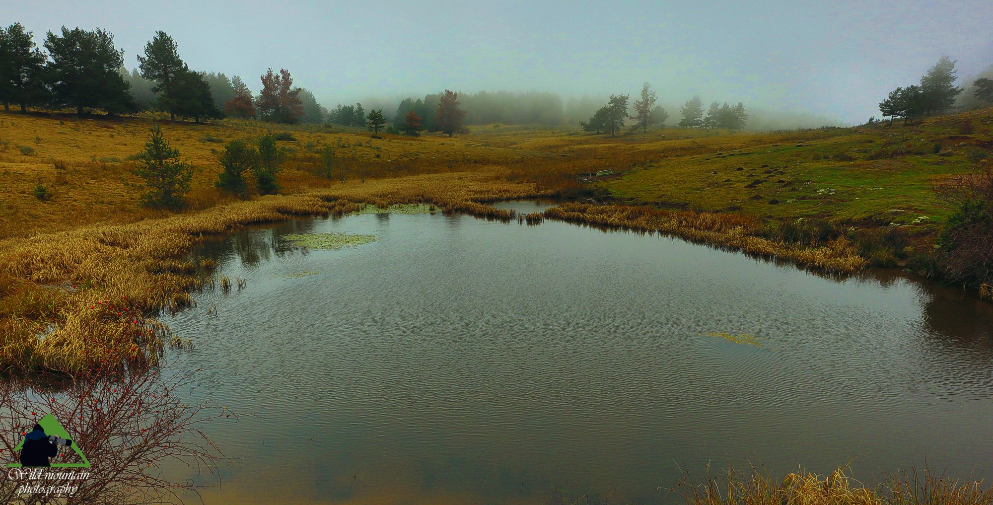 Η οροσειρά της Ροδόπης: Η λιμνούλα στο Μεγάλο Λιβάδι