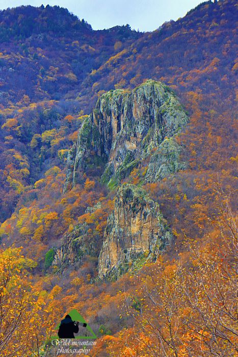 Ε.Π. Ροδόπης topoguide