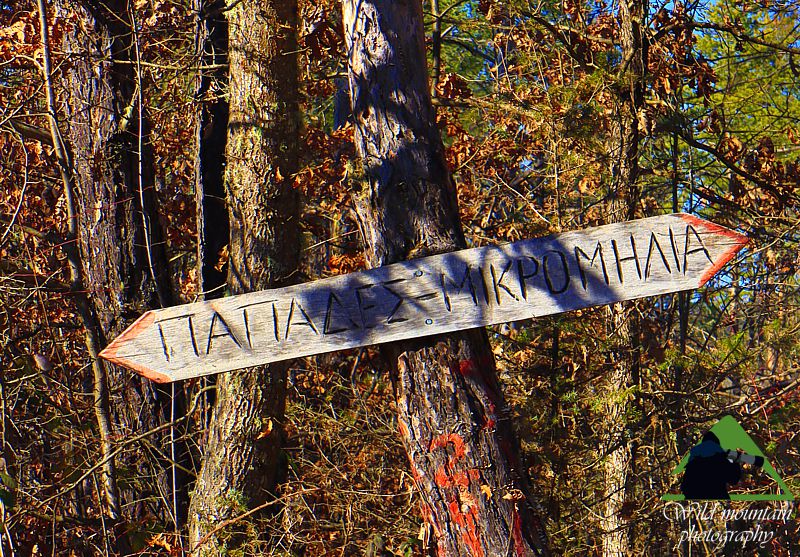 Ε.Π. Ροδόπης topoguide