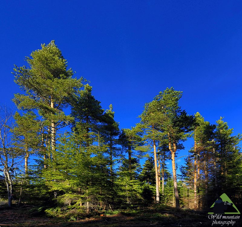 Ε.Π. Ροδόπης topoguide