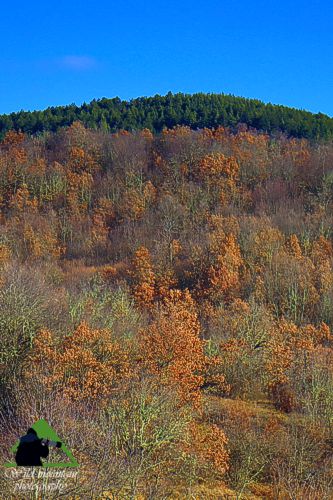 Ε.Π. Ροδόπης topoguide