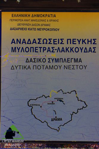 Ε.Π. Ροδόπης topoguide