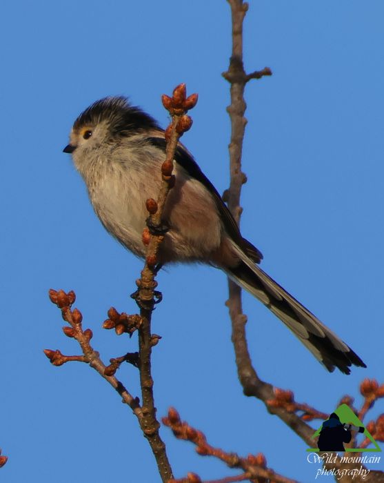 Ε.Π. Ροδόπης topoguide