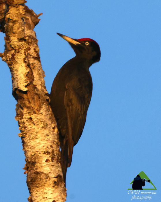 Ε.Π. Ροδόπης topoguide