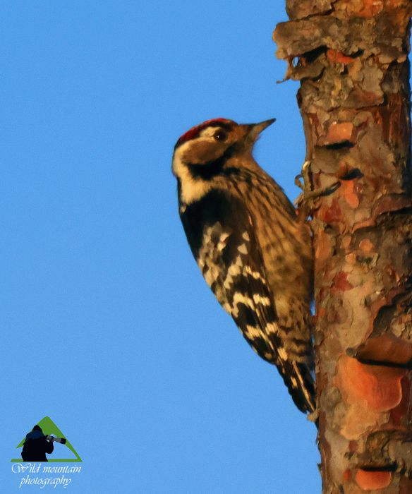 Ε.Π. Ροδόπης topoguide